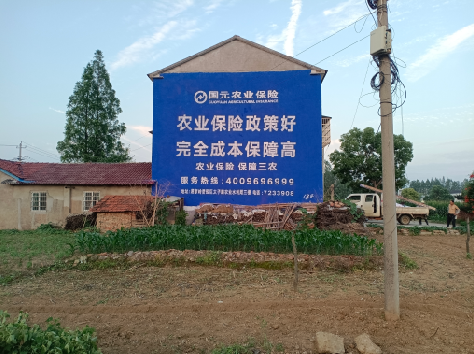 礼泉墙体广告为何受追捧？